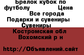 Брелок кубок по футболу Fifa 2018 › Цена ­ 399 - Все города Подарки и сувениры » Сувениры   . Костромская обл.,Вохомский р-н